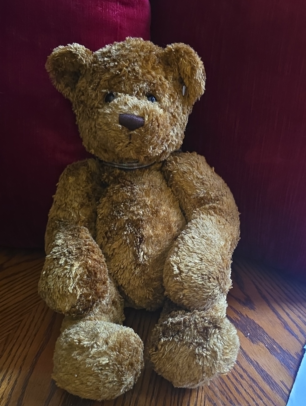 Gund Doodle Bear